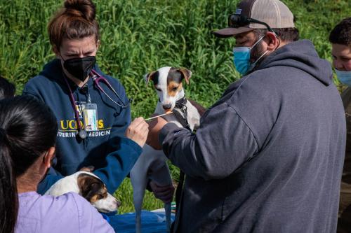 Knights Landing One Health Clinic School of Veterinary Medicine